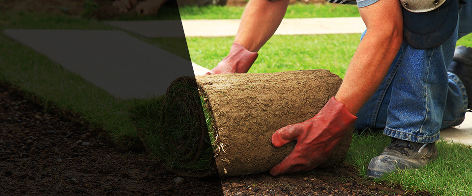 Cloquet Landscapers